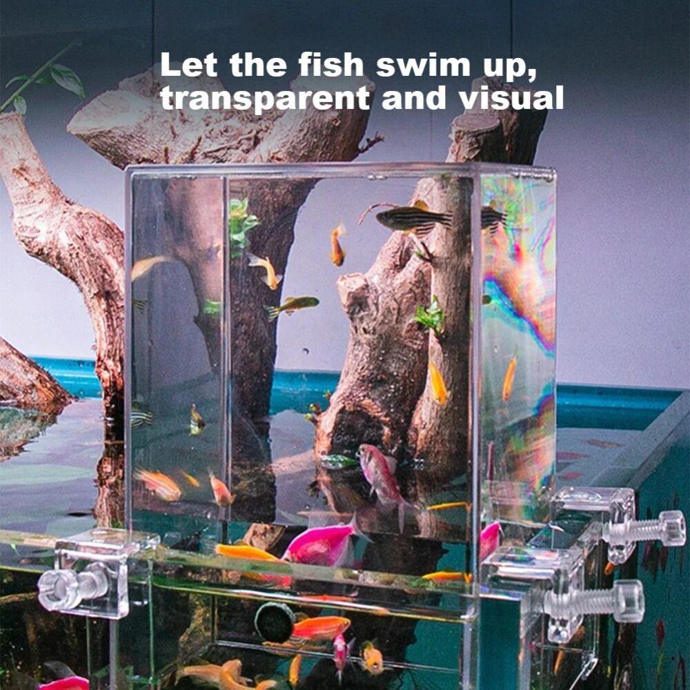 Convenient Observation Inverted Aquarium Acrylic Aerial Extender Fish Tank Fish Elevator Home