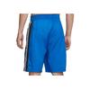 Nike Giannis Basketball Sports Training Shorts Men Bottoms Blue CD9559-480