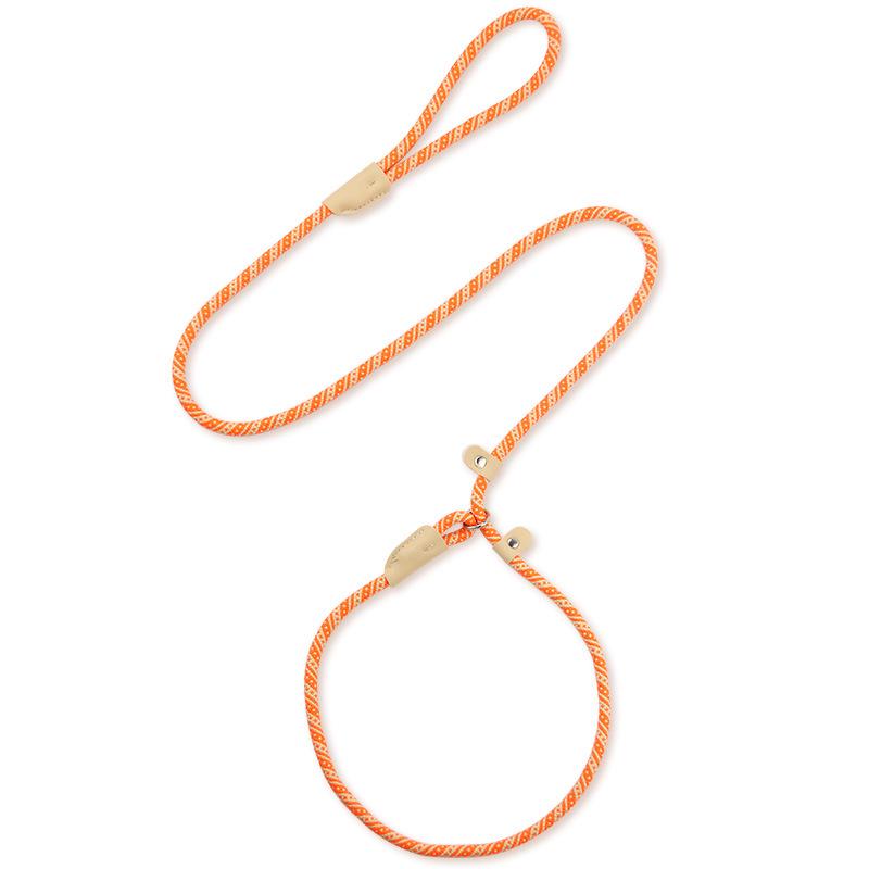 Universal Buckle Dog Leash for Medium & Large Dogs - P Chain Collar