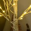 4ft Artificial White Birch Tree Light with Warm White Pre-Lit LED Light for Indoor and Covered Outdoor Use