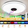 36W/60W RGB Flush Mount Round Starlight APP Bluetooth Music Lamp Dimmable Light with Remote Control Music Led Ceiling Light Lamp