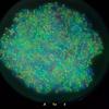 660Pcs Luminous Bead Glow in The Dark UV Bead Color Changing Reactive for Pony Bead Acrylic Glowing Beads for DIY Bracel