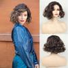 Synthetic Brown Hair Elegant Short Curly Wig for Women Ladies Natural Soft Fluffy Daily Cosplay Party Mommy Wigs with Side Bangs
