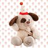 Orsacchiotto coniglio Cane dalmata Peluche Cappello Buon Compleanno Bambola imbottita per Fidanzata Regalo di San Valentino per Bambino Compleanno