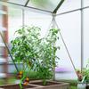 192.5 X 131cm Walk-In Polycarbonate Greenhouse - Silver-Tone