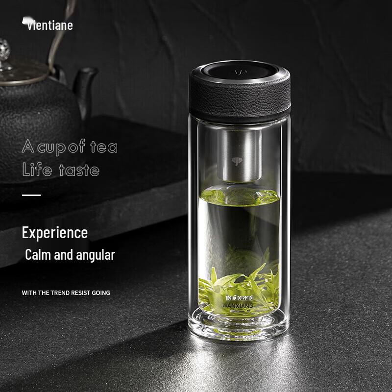 

WANXIANG Double Wall Glass Tea Mug with Infuser