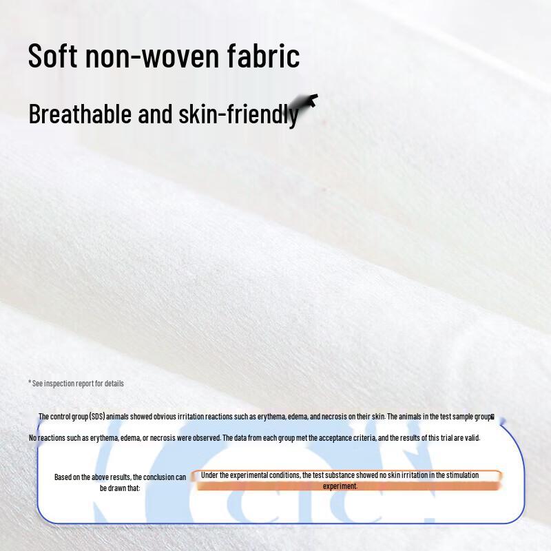 DR.ROOS 75% Alcohol Sanitizing Wet Wipes