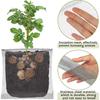 Rat Prevention Plant Root Protection Cover Protective Mesh Bag  Flower Bulbs Protection