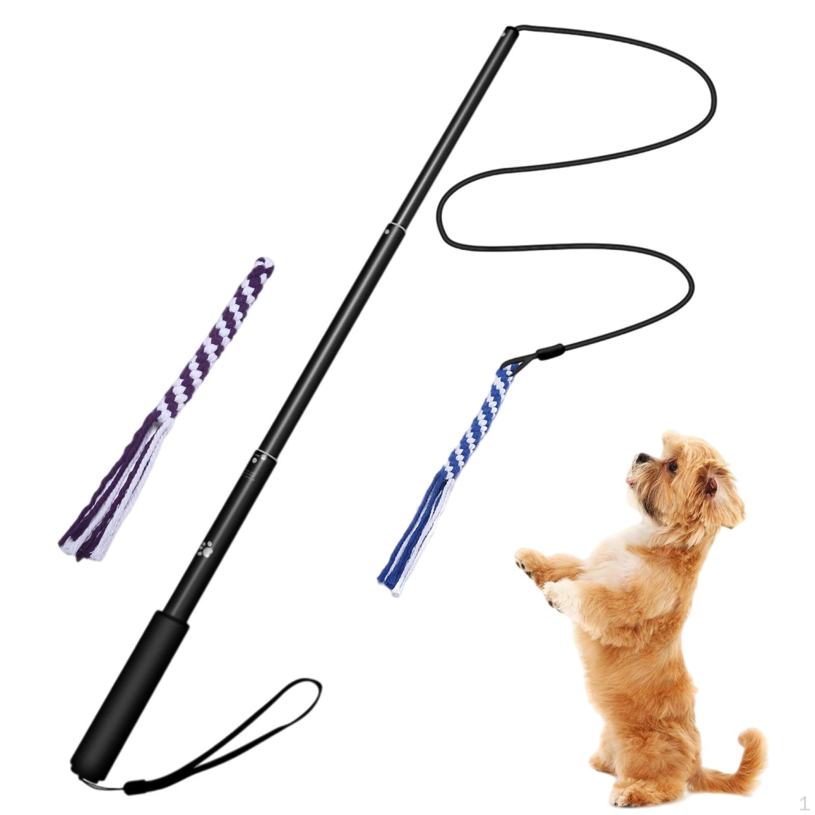 

Pole for Dogs - Durable Telescopic Lure Stick Obedience Training & Exercise Playing Black 69cm