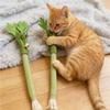 Molar Stick Cat Chew Toys Catnip Infused Teeth Cleaning Interactive Self Playing Bite Squeaky Cat Toy for Dental Hygiene Pet Fun