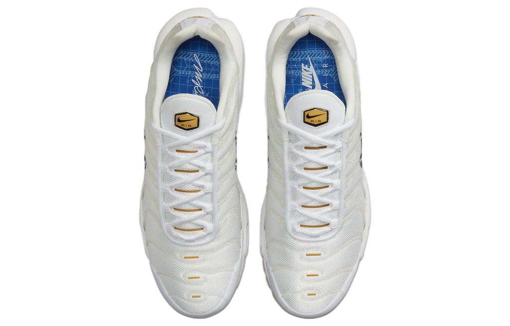 Nike Air Max Plus M. Frank Rudy DQ8960-100