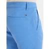 Tommy Jeans Scanton Shorts