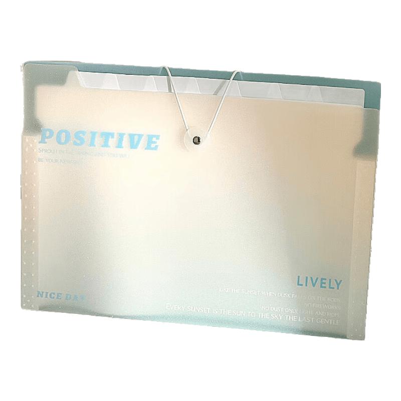 Wengu A4 8-Pocket Expanding File Folder