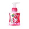 Dettol Hello Kitty Foaming Antibacterial Hand Wash