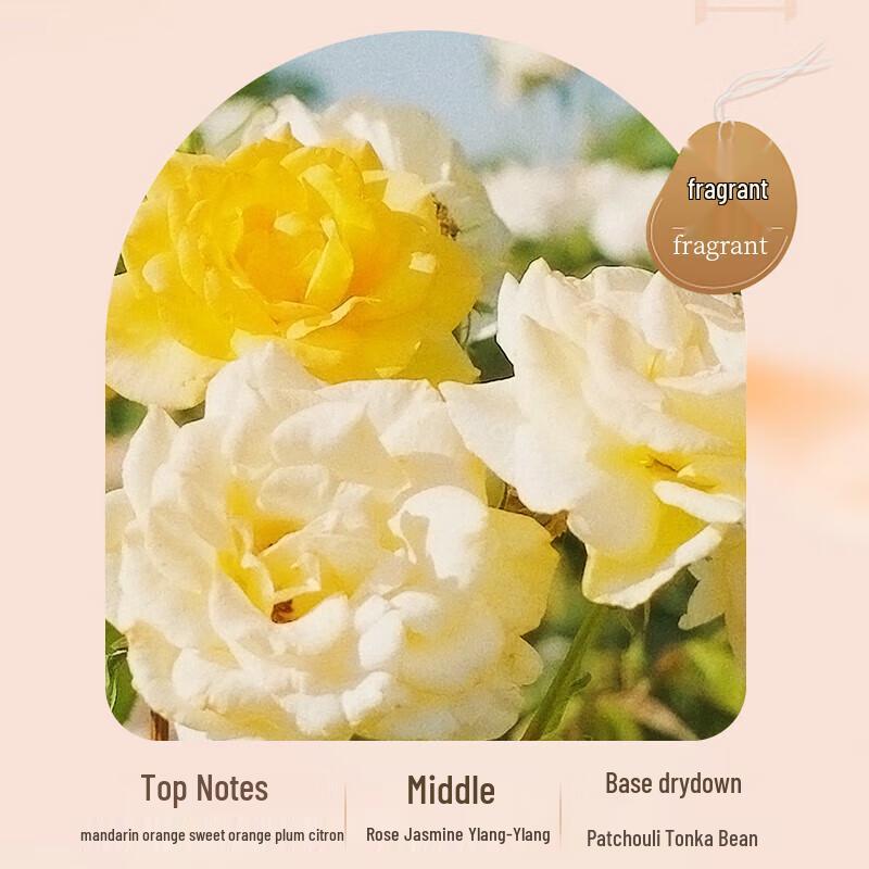 Miss Lilly Keratin Smoothing Hair Mask