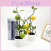 Lemon Indoor Decorative Plant With Faux Fruits For Photography And Home Decor