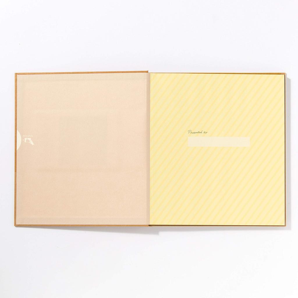 Iroha Publishing GIFT WRAPPING ALBUM Gift Wrapping Album L Party Stripe GWAL-02