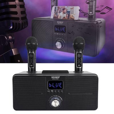 Familien-KTV Hochwertiges Sound-Kit Integriertes Drahtloses Mikrofon Live Card Karaoke-Lautsprecher