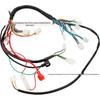 ATV/Quad 50-110CC Main Wiring Harness with Anti-Theft Function and Accessories