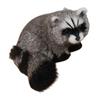 Realistic Simulation Raccoon Model Educational Simulation 3D Raccoon Raccoon Figure  Desktop Decor