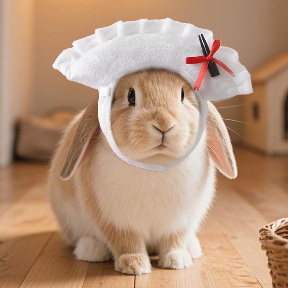 Pet hat funny costume chicken leg headdress, apple hat, cat cute leaky ear hat