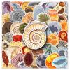 50 Fossil Graffiti Stickers Personalized Creative Ammonite Amber Jurassic Decorative Suitcase Skateboard Stickers