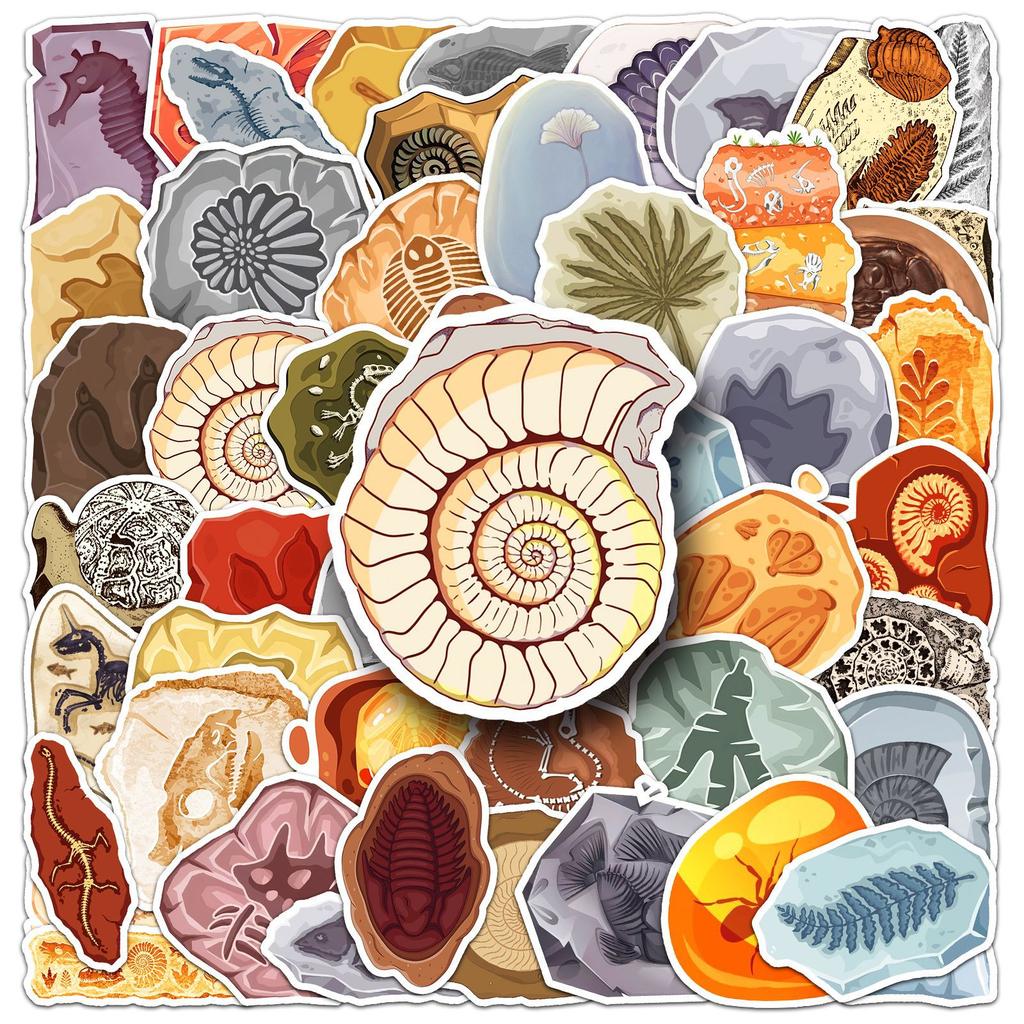 50 Fossil Graffiti Stickers Personalized Creative Ammonite Amber Jurassic Decorative Suitcase Skateboard Stickers