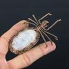Rainbow Moonstone Handmade Copper Wire Wrap Spider Pendant 2.56" K0v81
