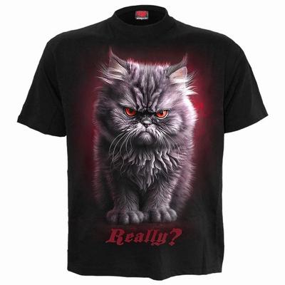 Spiral Direct Womens/Ladies Anger Management Short-Sleeved T-Shirt