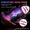 Vibration Shaped Dildo Wearable Outdoor Anal Plug Simulation Explosive Muscle Fist Training Anal Expansion SM Vibration Toy