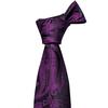 Barry.Wang Mens Purple Necktie Tie Clip Boutonniere Hanky Cufflinks Paisley Silk Tie Set for Wedding Party Dating