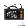 Endoskopkamera mit Licht, HD 1080P-Endoskop mit 4,3-Zoll-LCD-Bildschirm, 8 LED-Leuchten, IP67 wasserdicht