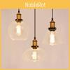 Light Ceiling Pendant Glass Shade Lighting Vintage Hanging Kitchen Room Dining