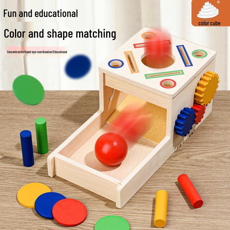 Montessori Color & Shape Recognition Building Blocks for Toddlers