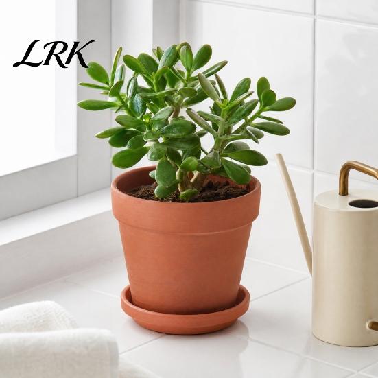 Terracotta Flowerpot Flowerpot, Clay Plant Pot with Drainage Hole, Porous Indoor Outdoor Planter for Plants Succulents Cacti Herbs Crack Resistant