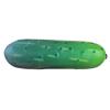 Anxiety Relief Carrot Squeeze Toys Sound Crispy Corn Fidget Toy Sensory Stress Toy  for Kids Adults