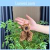 Charming Small Plush Dog Keychain With Ultra Soft Pp Cotton Filling And Design Stylish