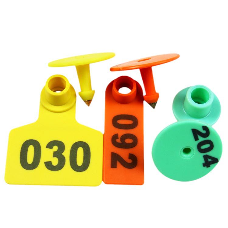 Three-Color Laser-Marked Pig Ear Tag with Copper Head for Breeding Identification