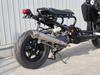 RinParts Breathing GP Racing 1103283 Stainless Steel Scooter Muffler for Zoomer