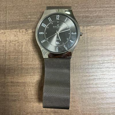 Used SKAGEN STEEL Mesh Band Watch