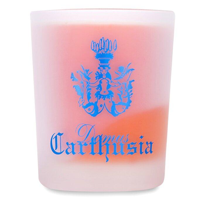 

Carthusia - Ароматическая Свеча - Кораллий