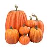 7 pz Zucca Artificiale Assortita Finta Zucca Simulazione per Halloween Festa del Ringraziamento Decorazione Casa Casa