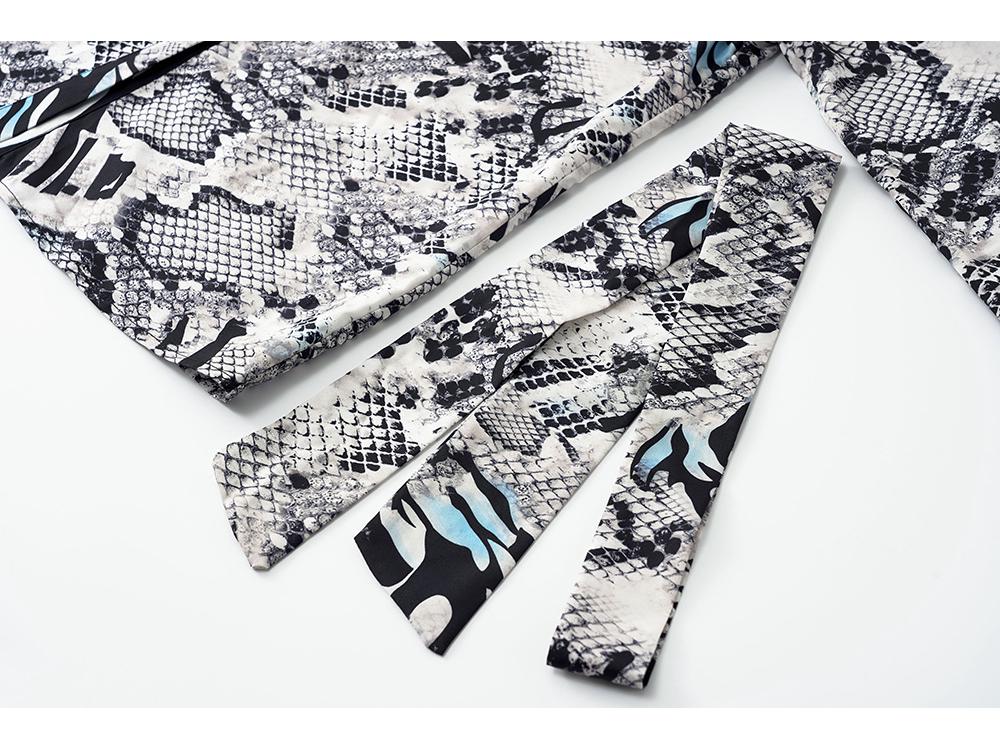 Europäischer & Amerikanischer Stil Damen Herbst Print Krawatte Einreihig Langarm Hemd