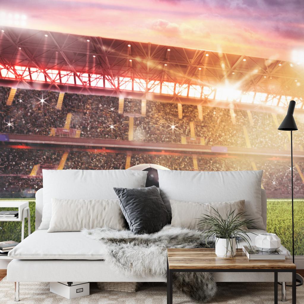 Photomural Soccer Ball In The Stadium Self-Adhesive Mural 312x219