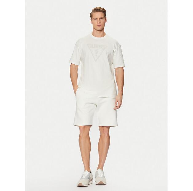 Спортивные шорты Guess Z2YD04 K9V31