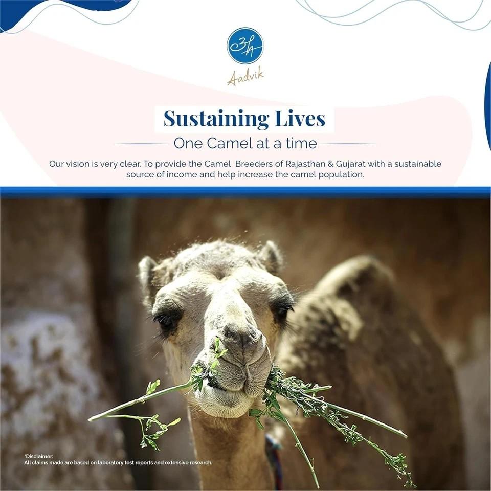 Camel Milk Powder | Freeze-Dried Pure & Natural 20gms X10 Sachet | 200 Gms