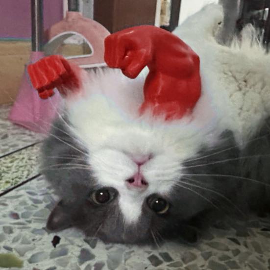 Gatto Muscolo Braccio Stampato in 3D Cosplay Supereroe Gatto Collo Braccio con Muscolo per Gattino Gatto Accessori Costume Halloween