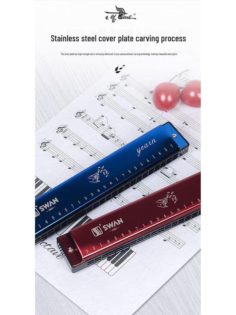 Swan 24-Hole Harmonica in C Key for Beginners and Students - Professional Performance Level Instrument