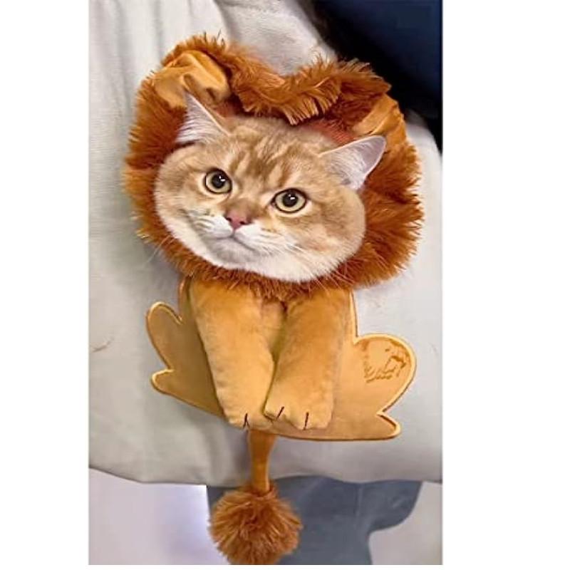 Dyreryggsekkbærer, sammenleggbar kjæledyrryggsekkpose Pustende kjæledyrbærer med evnen til å stikke hodet ut