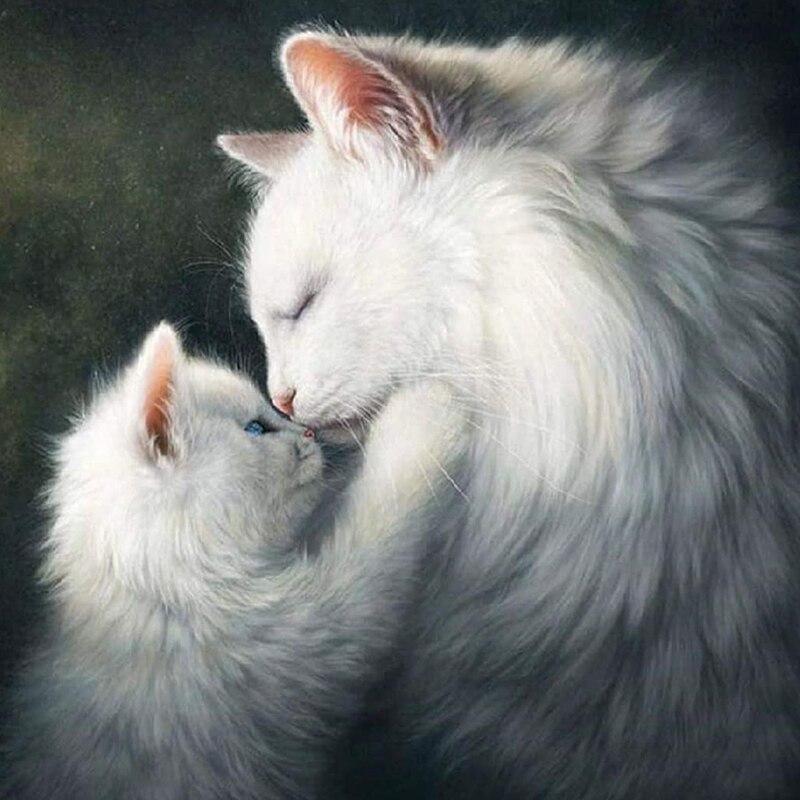 

5D DIY Алмазная картина, полная круглая квадратная дрель, стразы, кошка, алмазная вышивка, картина, вышивка крестом, ручная работа, домашний декор, подарок Full Round 20x20CM